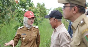 Pemprov Lampung Buka Peluang Kerja Sama Investasi Hijau untuk Perdagangan Karbon