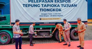 Pemprov Lampung Dorong Nilai Tambah, Ribuan Ton Tapioka Diekspor ke Tiongkok
